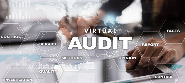 virtual audit