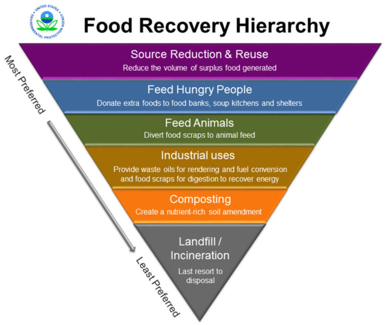 Creating Sustainable Impacts Part 3: Sustainable Food Management – KTL